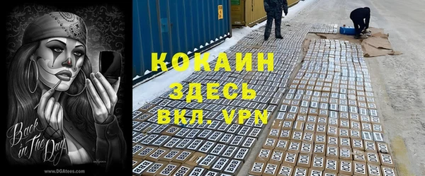 гашик Переславль-Залесский
