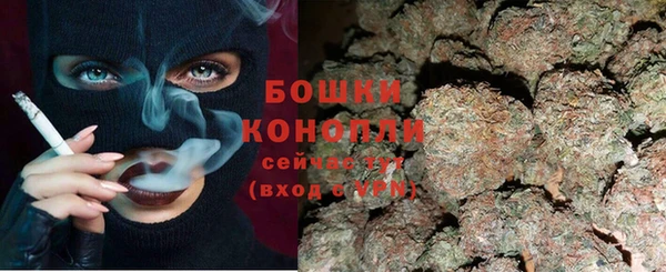 хмурый Осинники