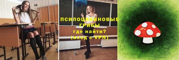 хмурый Осинники