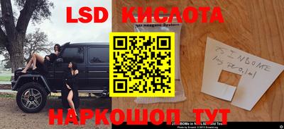 меф Гатчина