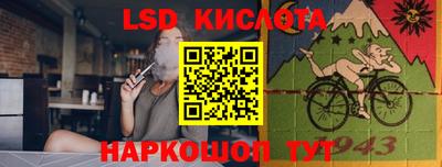 меф Гатчина