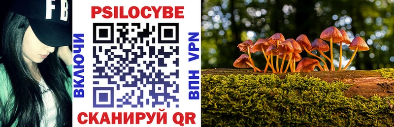 Псилоцибиновые грибы Cubensis Нефтекумск