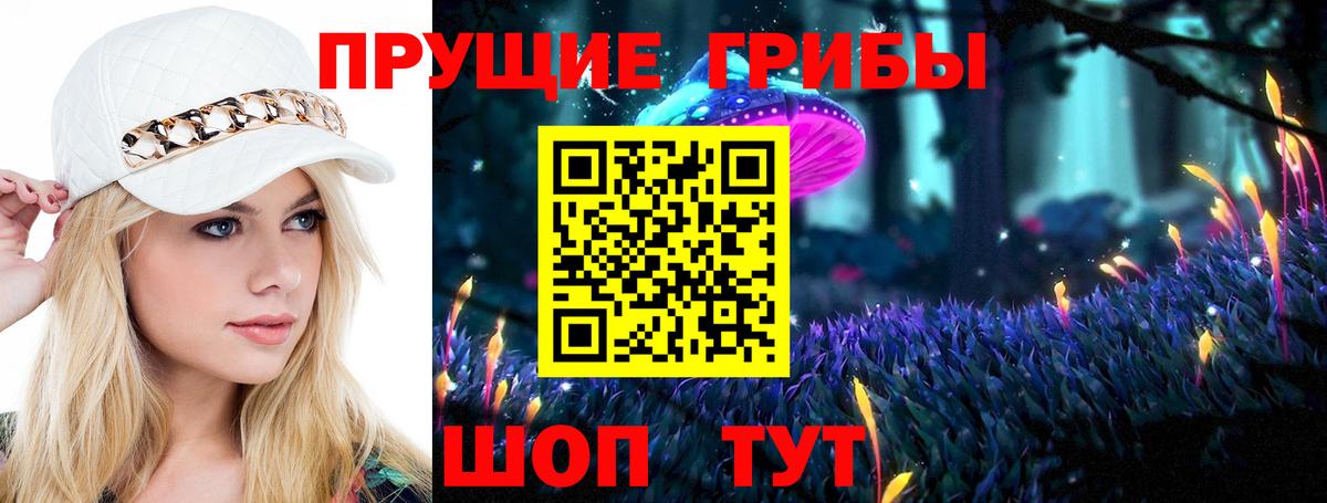 Галлюциногенные грибы Cubensis  Вход с VPN  Нефтекумск 