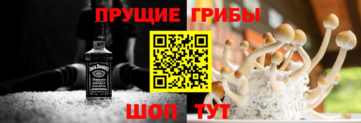 Псилоцибиновые грибы Cubensis Нефтекумск
